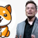 Elon Musk Tweet Sends New Baby Doge Coin Soaring — Meme Token’s Daily Gains Jump 228% – Bitcoin News
