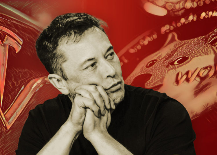 End of the Musk pump? Dogecoin barely moves after Tesla joke