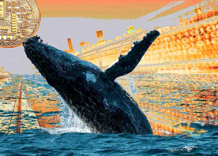 Whale Says Sector of Crypto Markets at ‘Massive Discount’, Issues Price Warning to Fellow Traders