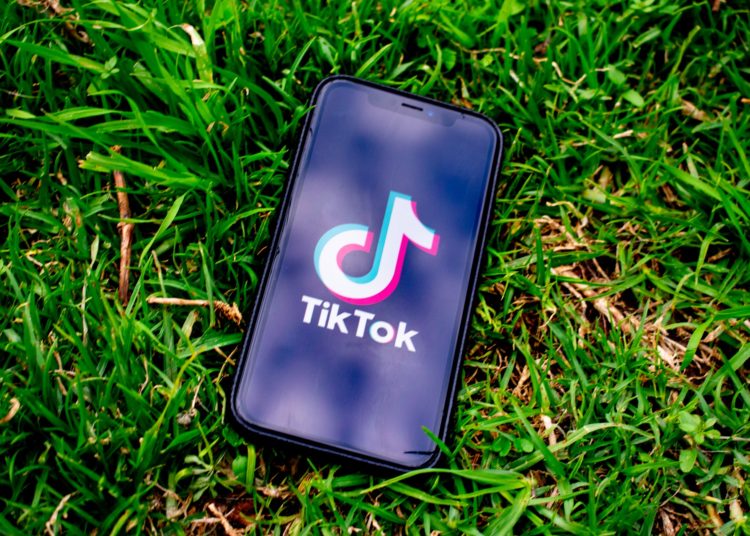 Experts have their say on the TikTok crypto ban
