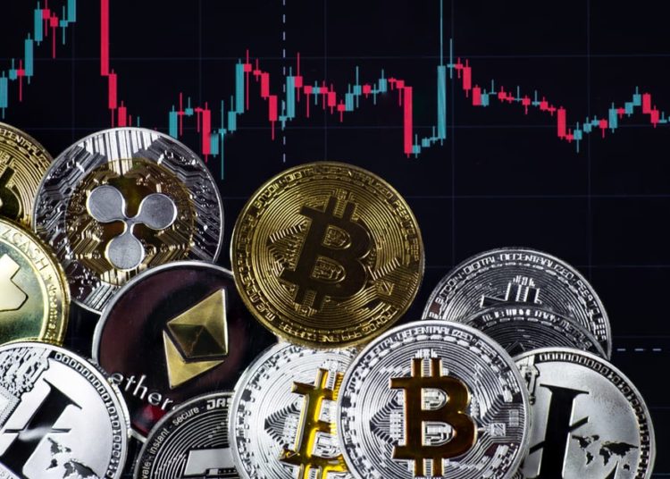 Crypto Market Roundup: Top Earners and Losers for Today