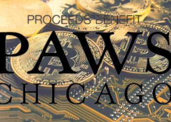 No-Kill Animal Organization PAWS Chicago Launches “Dogenations”, Accepting Crypto Donations