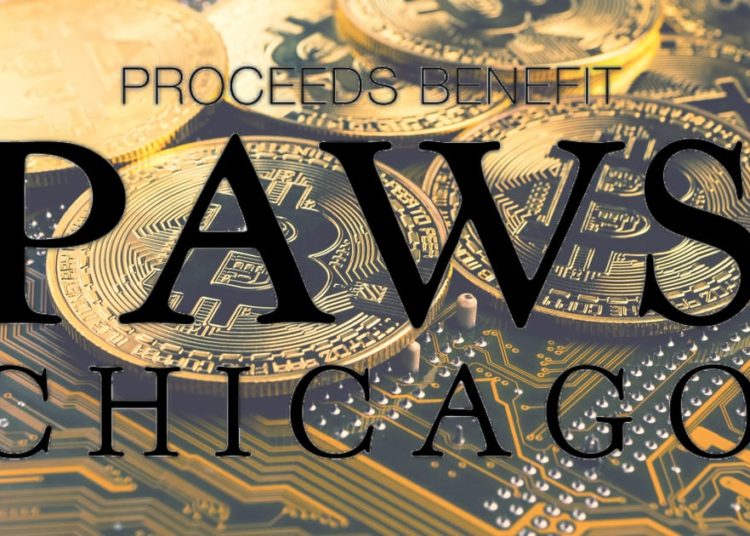 No-Kill Animal Organization PAWS Chicago Launches “Dogenations”, Accepting Crypto Donations