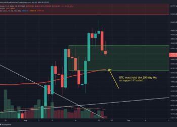 Here are the Support Levels it Must Hold (BTC Price Analysis)
