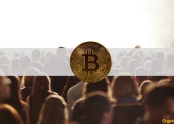 Which Group Is the Most into Crypto? (Survey)