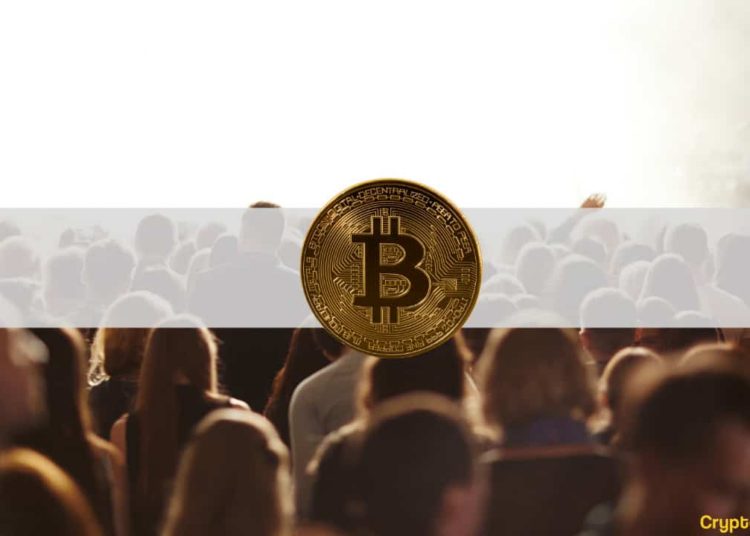 Which Group Is the Most into Crypto? (Survey)