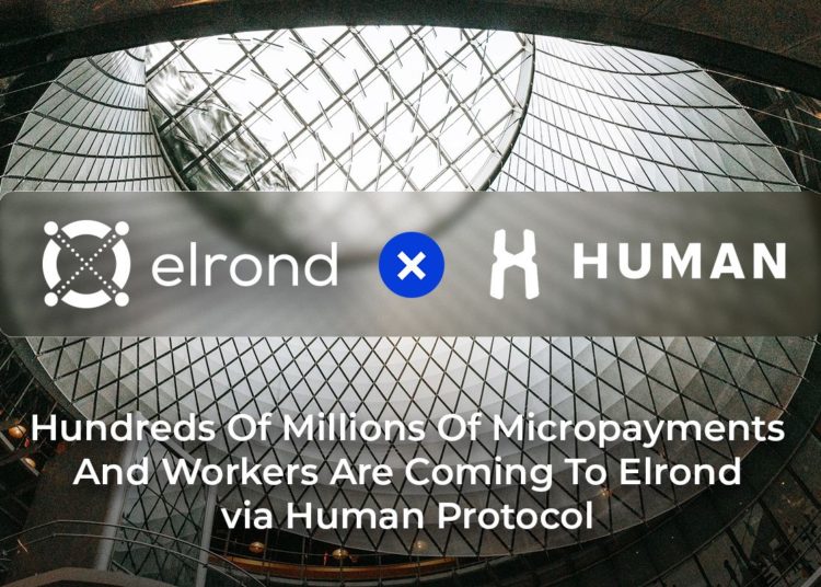 HUMAN Protocol and Elrond Network Team Up to Excel Machine Learning