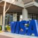 Visa Steps into NFT Craze with CryptoPunk Purchase of $150,000
