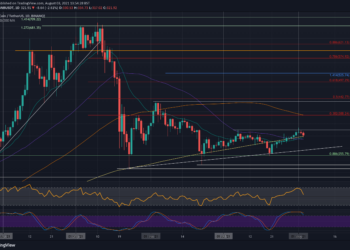 Will BNB Bulls be Able to Defend This Critical Support?