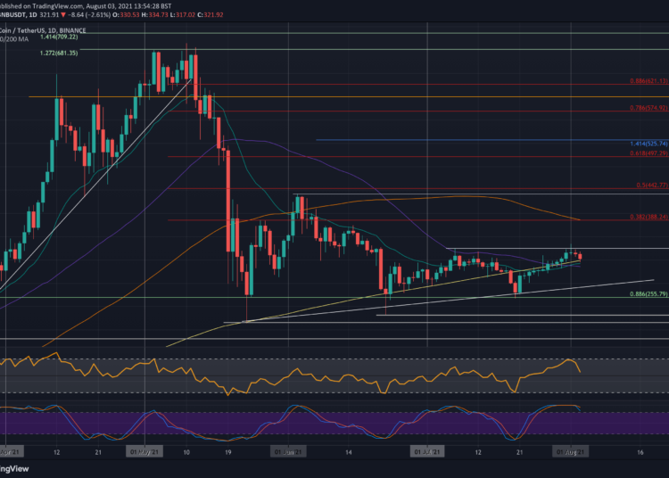 Will BNB Bulls be Able to Defend This Critical Support?
