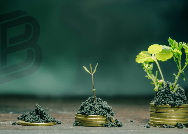 Bitpanda Raises $263 Million in Series C Finance Round, Firm Aims to ‘Double Down on Technology’ – Finance Bitcoin News