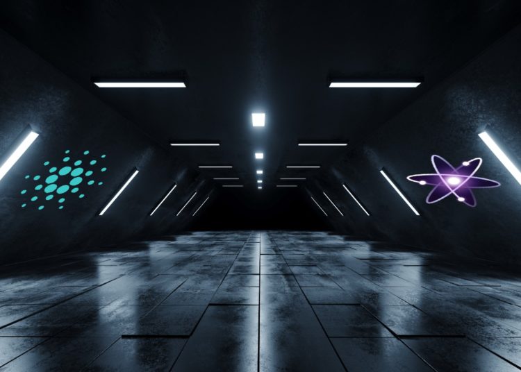 Cardano, Cosmos and Three Other Altcoins Brewing Massive Rallies, According to Analyst Scott Melker