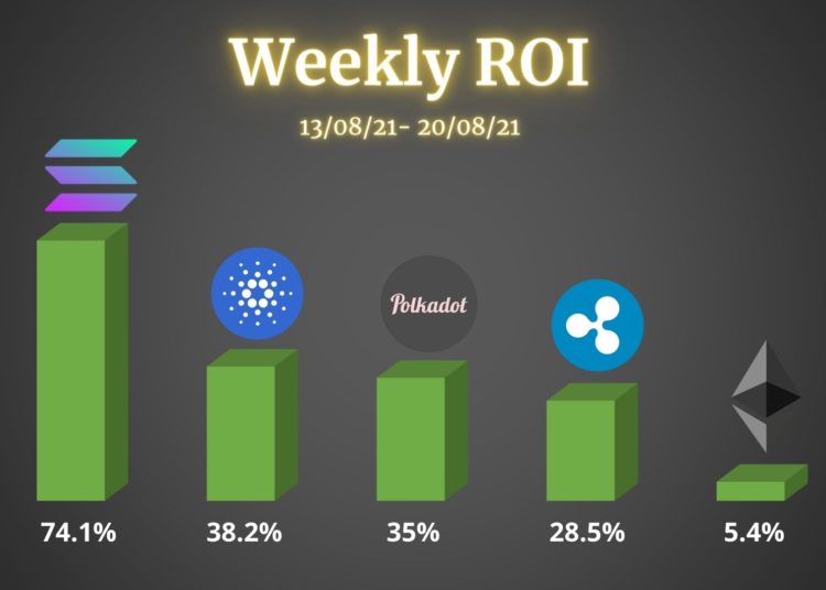 Ethereum, Ripple, Cardano, Polkadot, & Solana