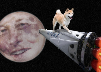 Dogecoin Price Captures 24 Hour Double-Digit Gains Following Social Media Hype – Markets and Prices Bitcoin News