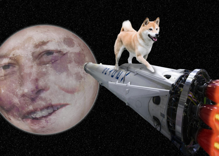 Dogecoin Price Captures 24 Hour Double-Digit Gains Following Social Media Hype – Markets and Prices Bitcoin News