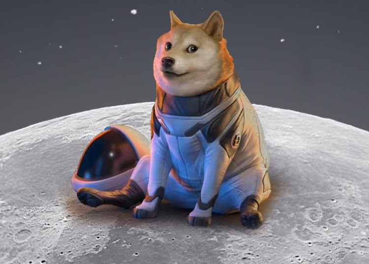 Dogecoin Captures Double-Digit Gains This Week — One Address Still Holds 28% of the DOGE Supply – Markets and Prices Bitcoin News