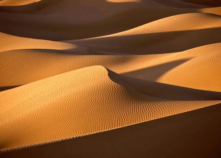 Dune Analytics Raises $8M in Series A Funding