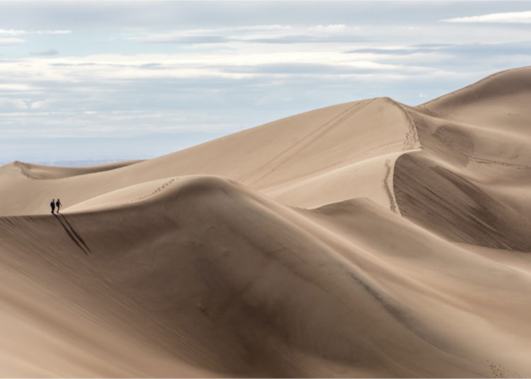 Crypto Data Firm Dune Analytics Raises $8M — Series A Round Led by Union Square Ventures – Finance Bitcoin News