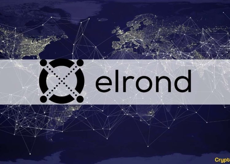 $1.72M Staked Amid Community Testing for Maiar, Elrond Network’s New Decentralised Exchange