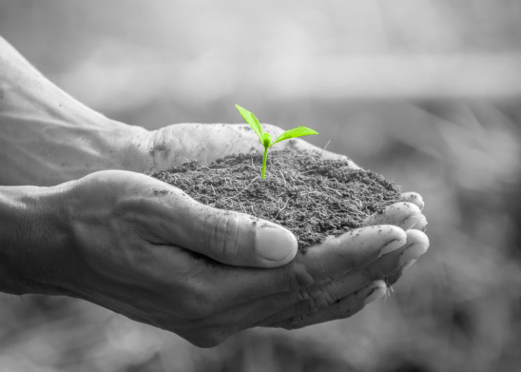 Next-gen NFT platform DoinGud announces collaboration with photo community Agora