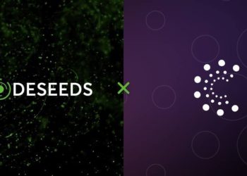 Nodeseeds Launches Three-Tier Membership to Ensure Transparency and Fair Allocation of Projects – Press release Bitcoin News