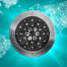 We Chose ADA Because Its Backed by the Cardano Foundation – Interview Bitcoin News