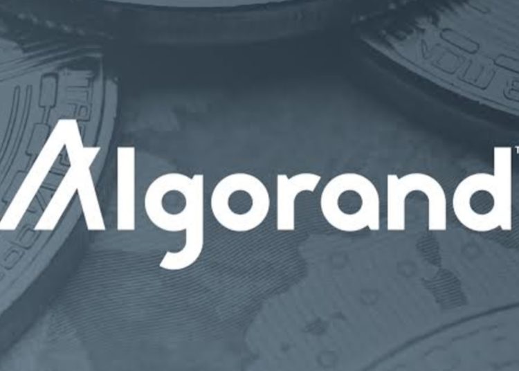 El Salvador government selects Algorand for its blockchain infrastructure