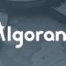 El Salvador government selects Algorand for its blockchain infrastructure