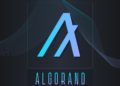 The Drone Racing League and Algorand have Reached a $100M Sponsorship Agreement