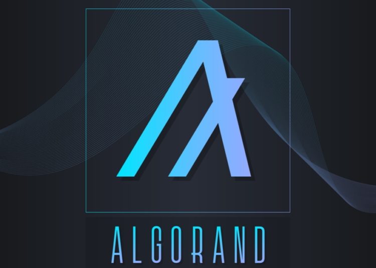 The Drone Racing League and Algorand have Reached a $100M Sponsorship Agreement