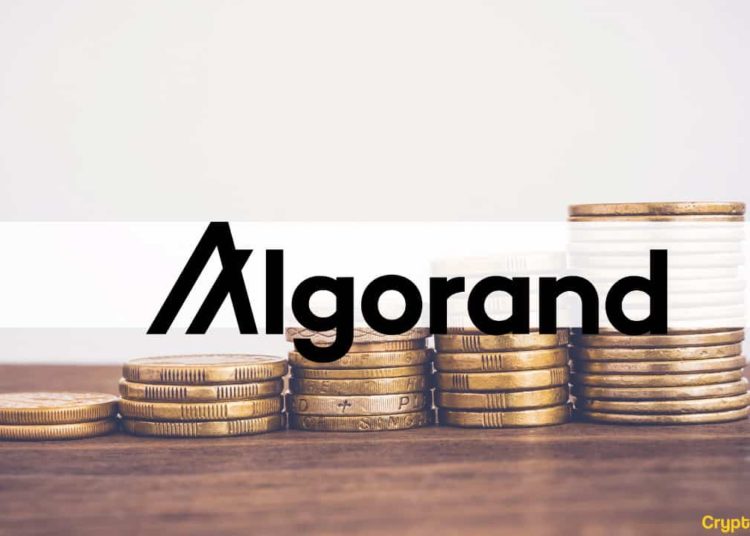 ALGO Taps a 2-Year High