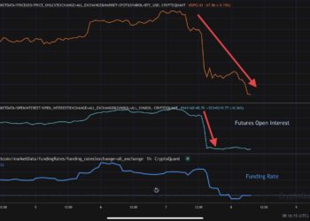 What Drove the 19% Crash and is the Pain Over?