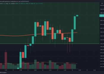 BTC Approaching $50K With a Solid Weekend Rally