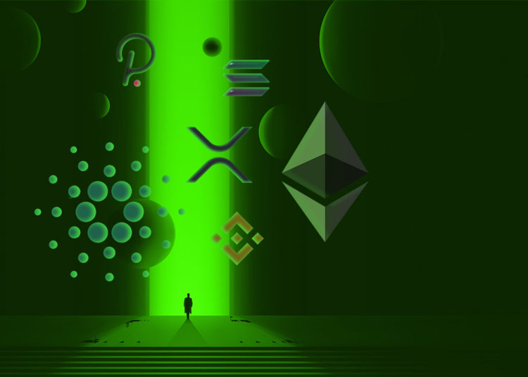 This Under-the-Radar Altcoin Is Up 34% This Week Despite the Crypto Market Correction
