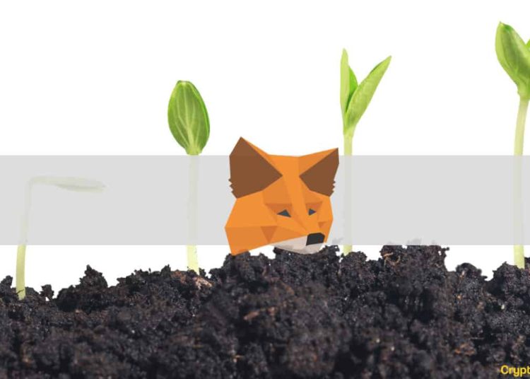 MetaMask Celebrates 10 Million Monthly Active Users: 1800% Yearly Growth