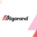Algorand Foundation Launches $300 Million Fund To Accelerate DeFi Innovation