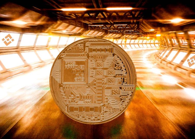 This Altcoin Is Skyrocketing Amid the Greater Crypto Market Correction