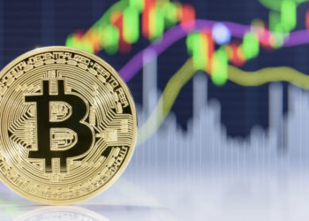 Crypto is turning bullish – Crypto Daily™