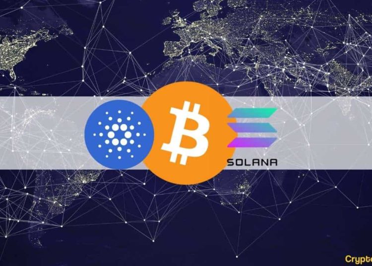 BTC Encounters $48k, Cardano’s Hardfork, Solana’s Downtime