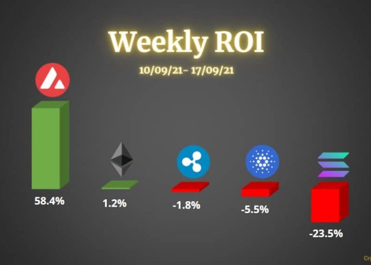 Ethereum, Ripple, Cardano, Solana, & Avalanche