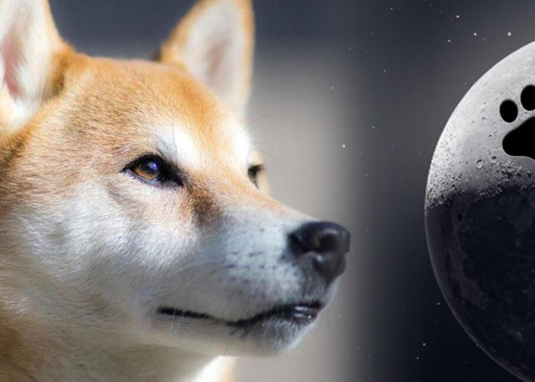 Dogecoin’s Four-Legged Fall — DOGE Slides to 9th Market Cap Position Dropping 18% Last Month – Market Updates Bitcoin News