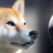 Dogecoin’s Four-Legged Fall — DOGE Slides to 9th Market Cap Position Dropping 18% Last Month – Market Updates Bitcoin News