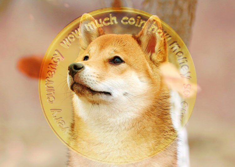 Where now for Dogecoin as the Shiba Inu-inspired token continues to slide?