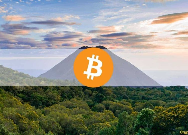 Volatile Week Following El Salvador’s Bitcoin Adoption and Plunge Below $43K: The Weekly Crypto Recap
