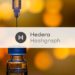 $4.5 Billion Allocated to Expand the Hedera Hashgraph Ecosystem