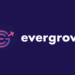 EverGrow Launches its BSC-Based Hyper Deflationary Token that Reward Holder in USDT