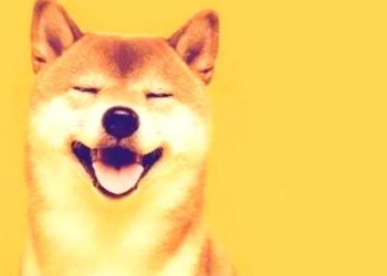 Shiba Inu Recap: From Strategic DeFi Partnerships To Fractionalization Of The Original Doge NFT