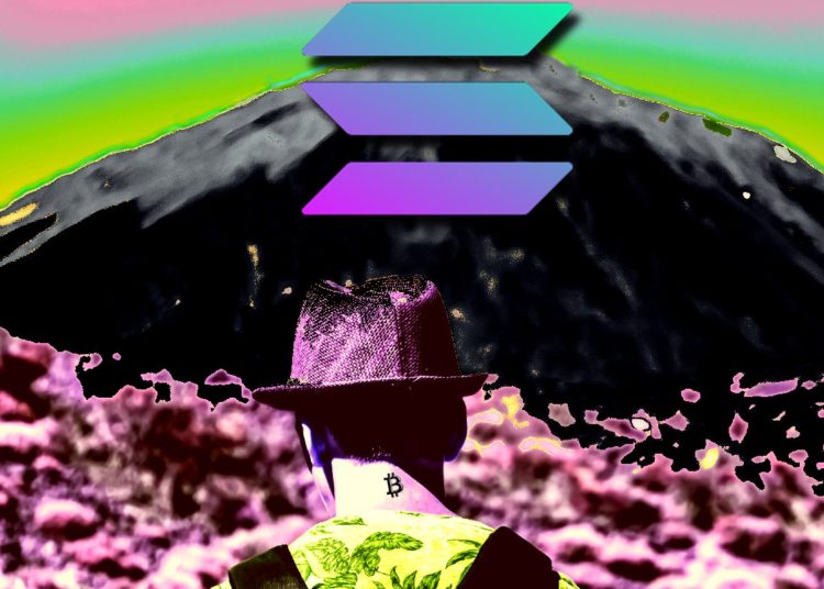 Solana Inflows Dwarf Bitcoin Investments As Institutions Diversify to Other Crypto Assets