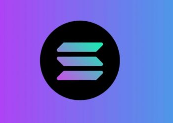 Solana Recap: From Becoming The 7th largest Cryptocurrency to Murmurings Of A Bubble