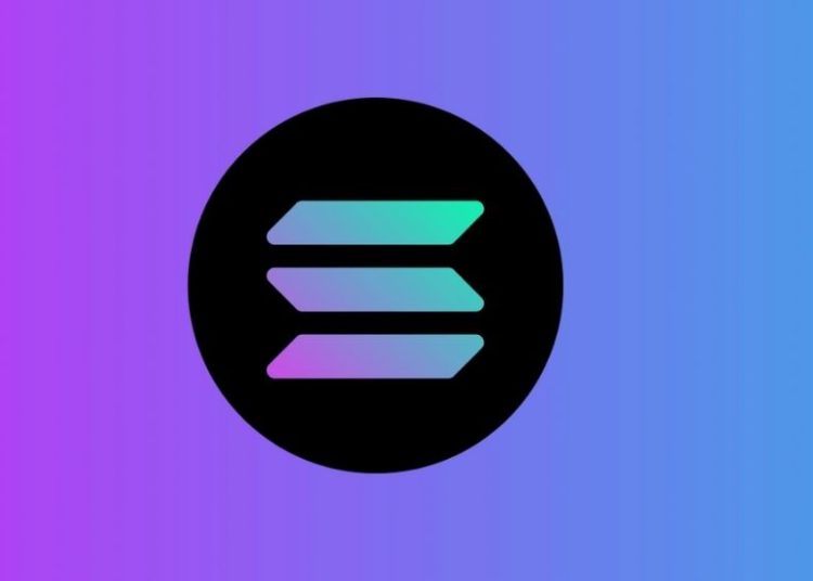 Solana Recap: From Becoming The 7th largest Cryptocurrency to Murmurings Of A Bubble